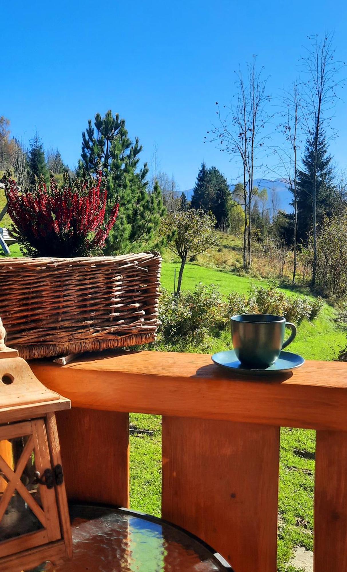 Domek Kojsowka Witów Dış mekan fotoğraf